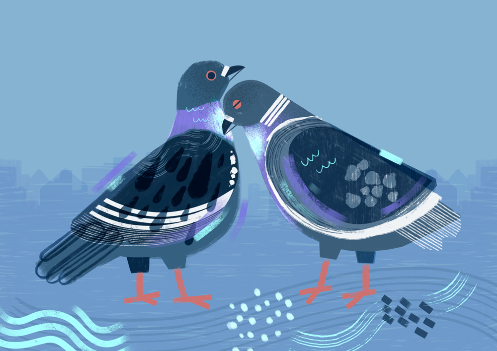 Love pigeons – a print by Alissa Thaler